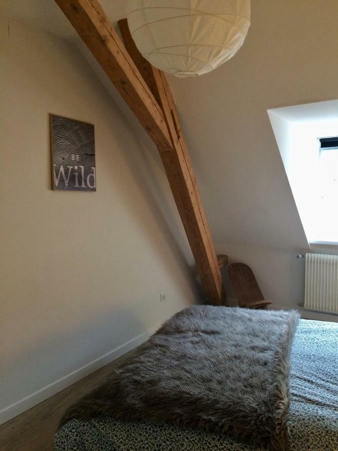 L'Ecrin De Masevaux Villa Eksteriør billede